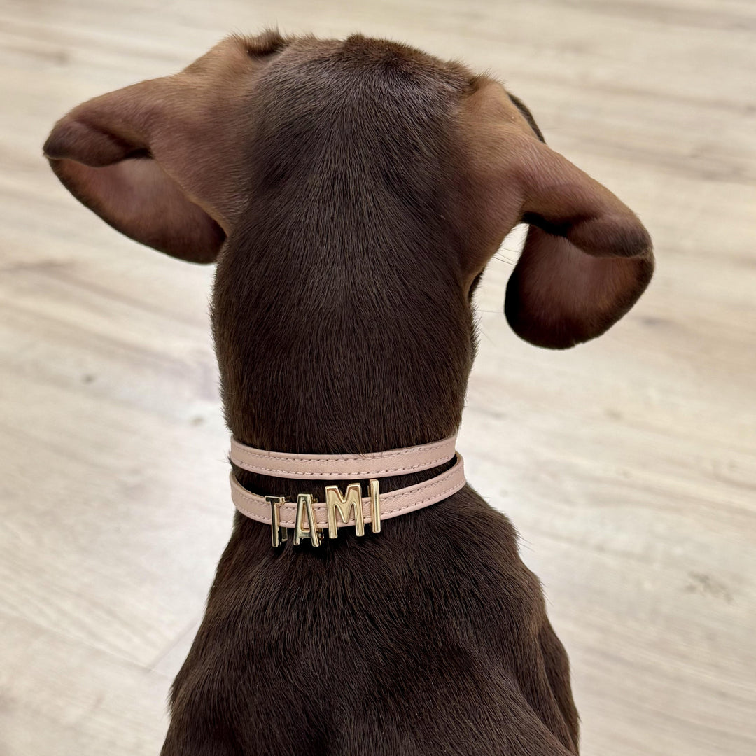 DOG NECKLACE